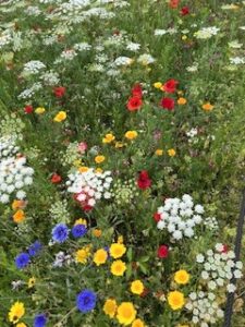 Voorjaarsdrive zondag 26 april