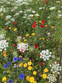 Voorjaarsdrive zondag 26 april